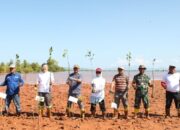 Peringati Hari Mangrove Sedunia, PT IPIP dan PT KNI Tanam 2.000 Mangrove dan Dorong Peran Aktif Masyarakat dalam Pelestarian Lingkungan