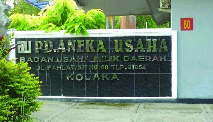 Perusda Aneka Usaha Kolaka Dilaporkan ke Kejati Sultra Soal Dugaan Korupsi dan Kejahatan Lingkungan