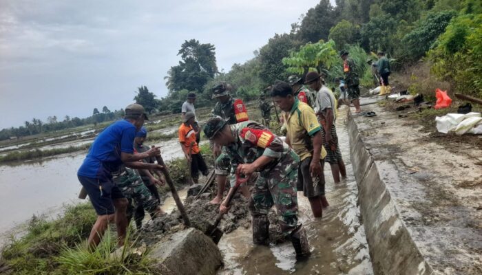 Sambut HUT RI ke-80, Koramil 1412-05/Pakue Gelar Karya Bakti Bersihkan Drainase Sawah